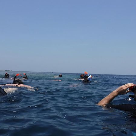 Avana Hotel & Dive Center Pemuteran Zewnętrze zdjęcie